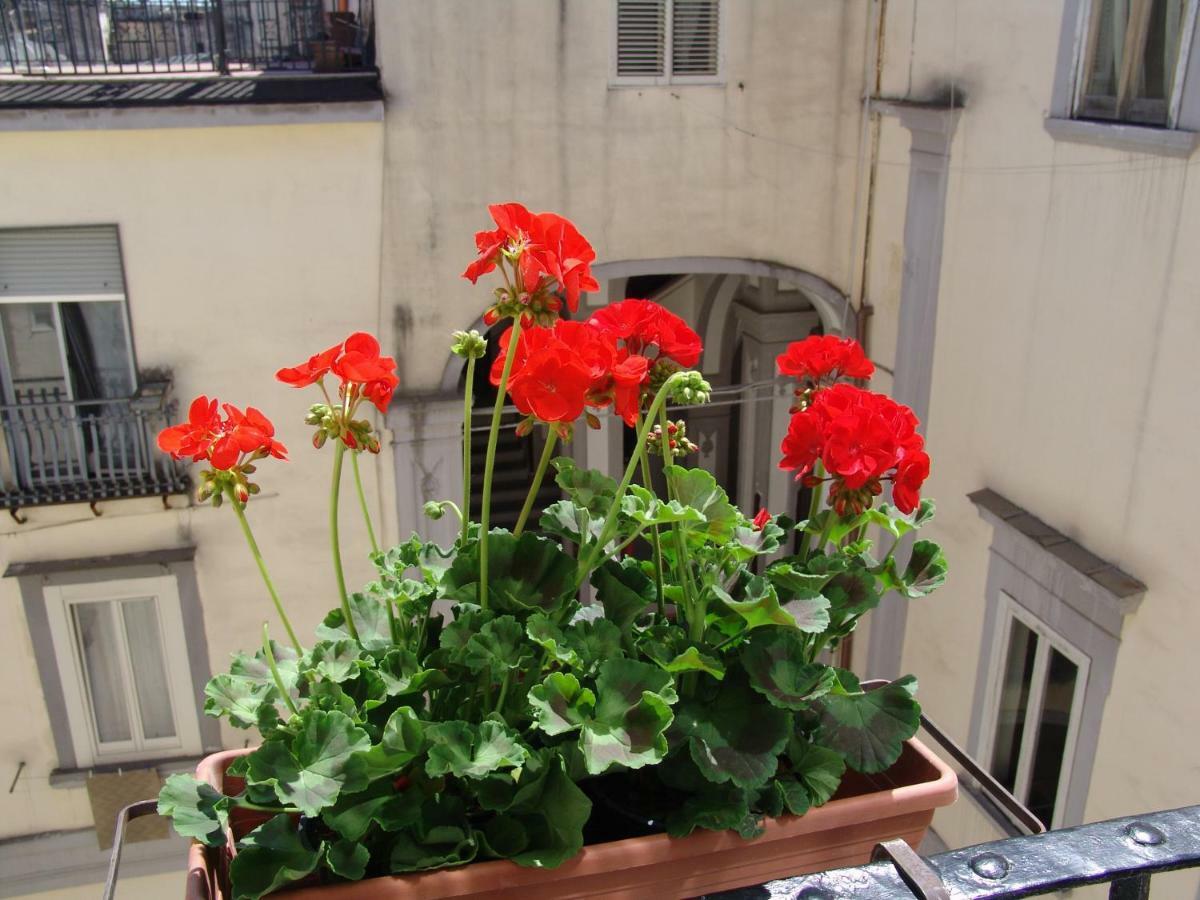 Terrazza Dei Principi Pensión Nápoles